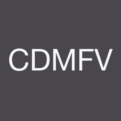 Championnat du monde féminin Volley-ball - Evénement Sportif