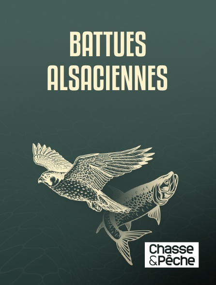Chasse et pêche - Battues alsaciennes