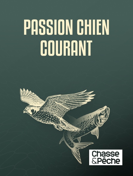 Chasse et pêche - Passion chien courant