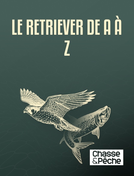 Chasse et pêche - Le retriever de A à Z