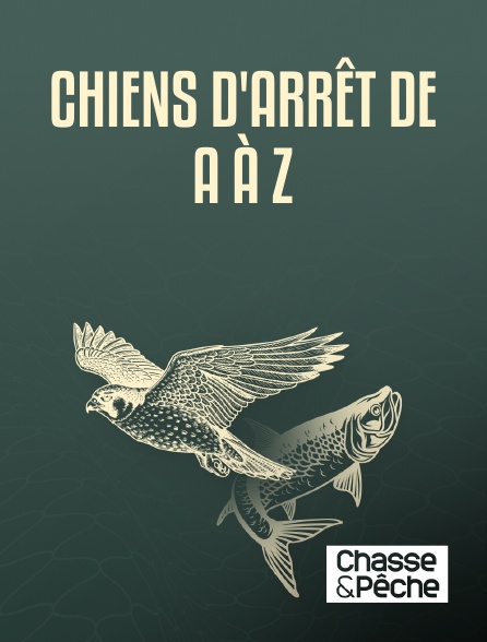 Chasse et pêche - Chiens d'arrêt de A à Z