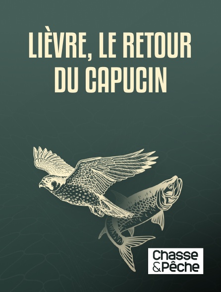 Chasse et pêche - Lièvre, le retour du capucin