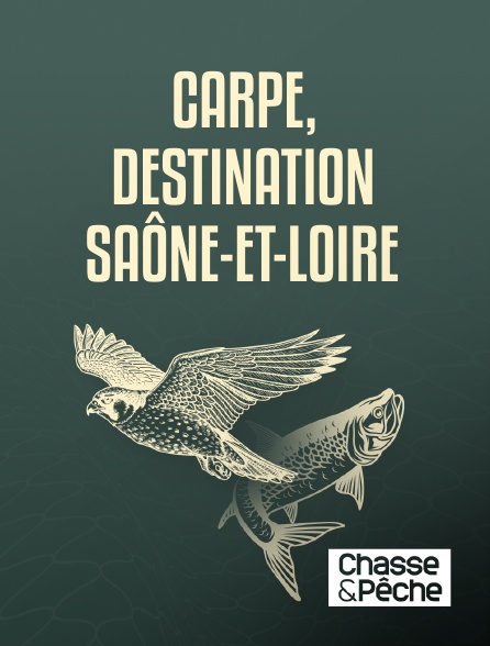Chasse et pêche - Carpe, destination Saône-et-Loire