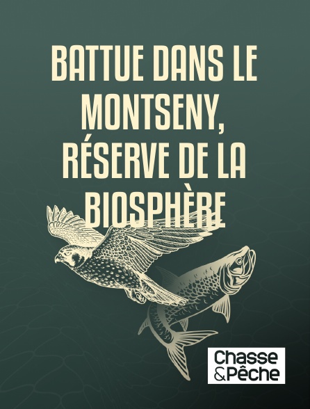 Chasse et pêche - Battue dans le Montseny, réserve de la biosphère