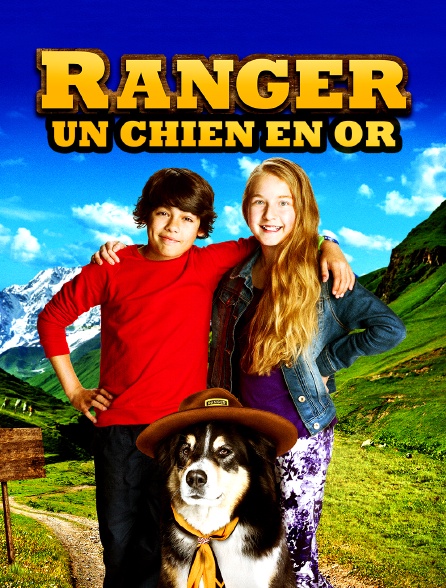 Ranger, un chien en or