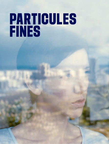 Particules fines