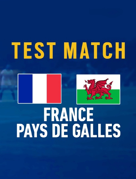 Rugby : Test-match - France - Pays de Galles