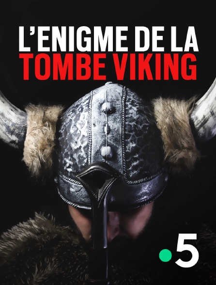 France 5 - L'énigme de la tombe viking