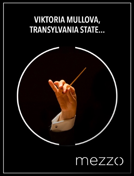 Mezzo - Viktoria Mullova, Transylvania State Philharmonic Orchestra, Cristian Mandeal : Brahms