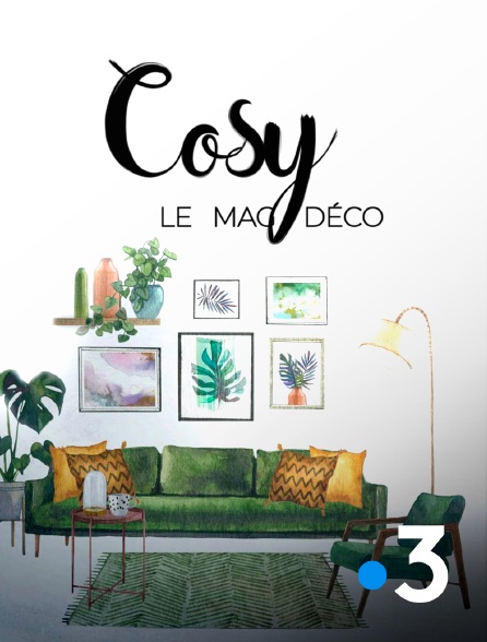 France 3 - Cosy, le mag déco