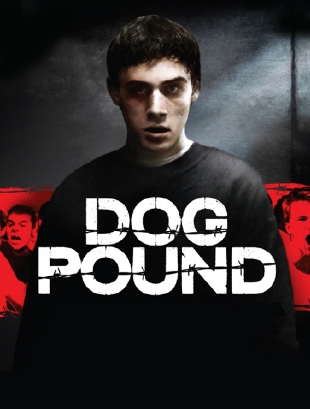Dog Pound Film Complet En Francais Dog Pound en Streaming - Molotov.tv