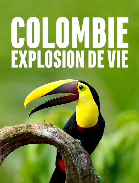 Colombie : explosion de vie