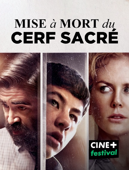 CINE+ Festival - Mise à mort du cerf sacré