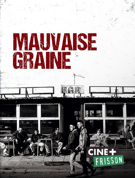 Ciné+ Frisson - Mauvaise graine