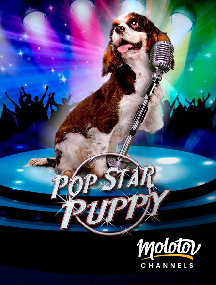 Molotov channels - Pop Star Puppy