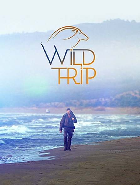 Wild Trip