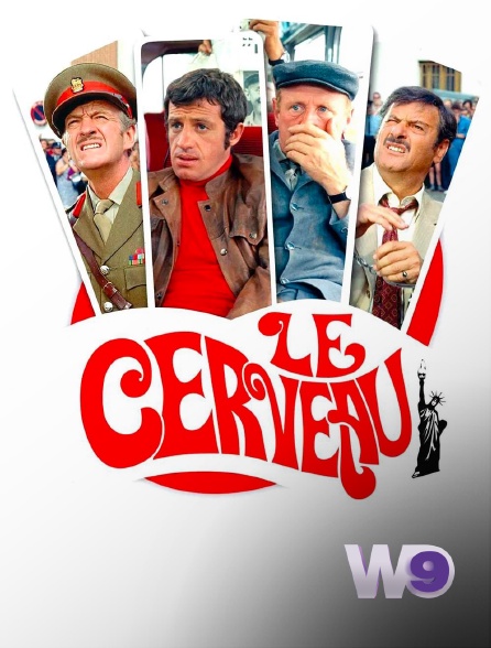 W9 - Le cerveau