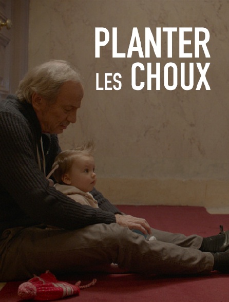 Planter les choux