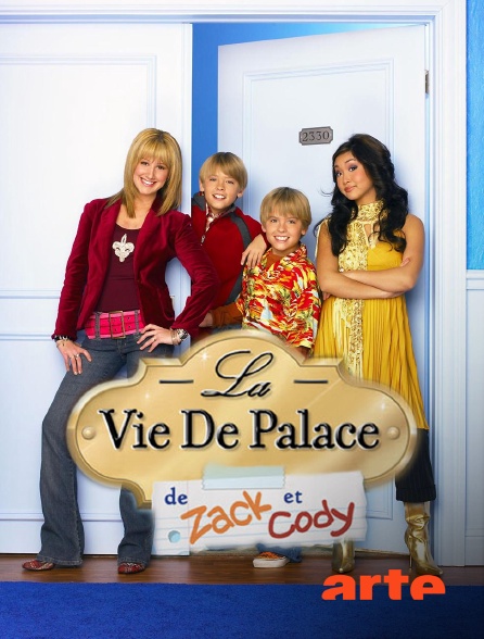 Arte - La vie de palace de Zack et Cody