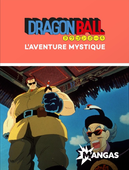 MANGAS - Dragon Ball : l'aventure mystique