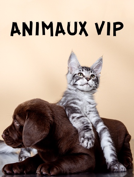 Animaux VIP