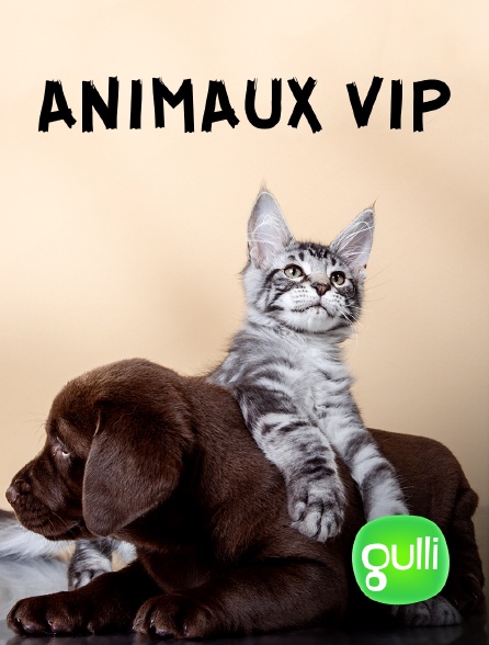 Gulli - Animaux VIP