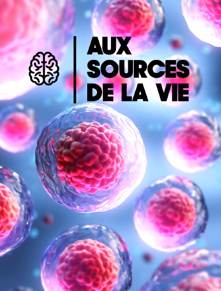 Aux sources de la vie