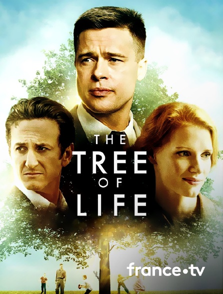 France.tv - The Tree of Life