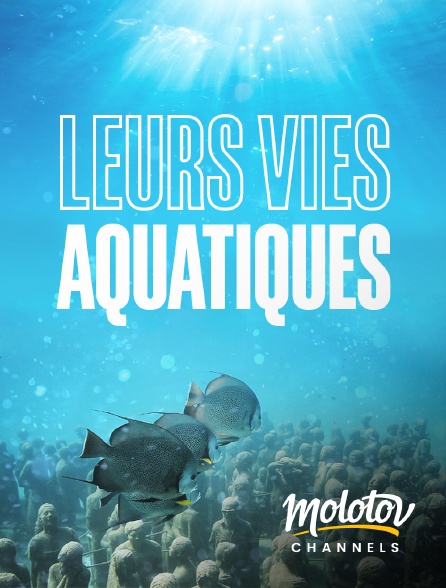 Molotov channels - Leurs vies aquatiques