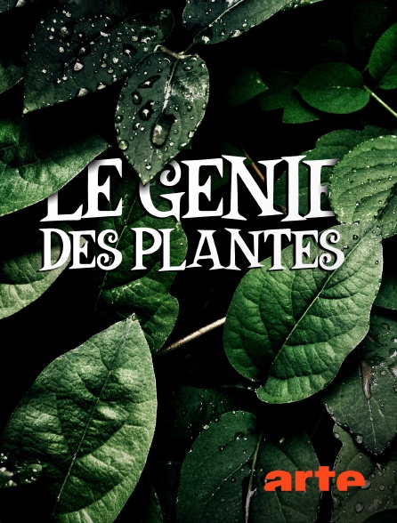 Arte - Le génie des plantes