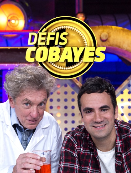 Défis cobayes