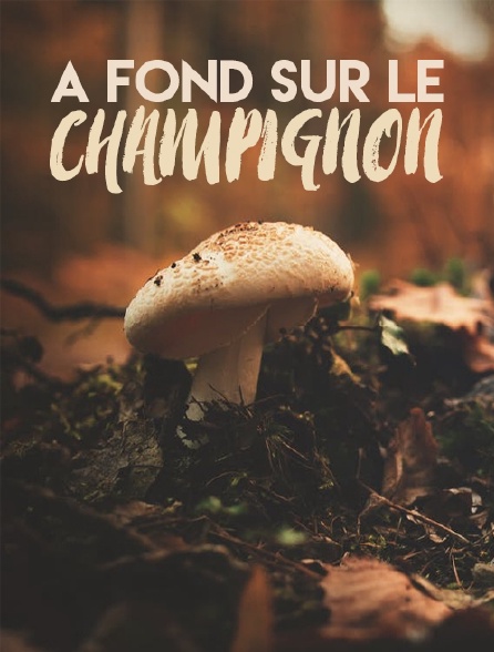 A fond sur le champignon