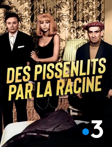 France 3 - Des pissenlits par la racine