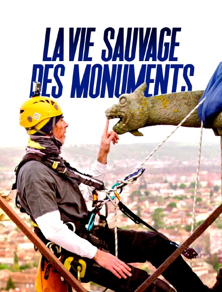 La vie sauvage des monuments