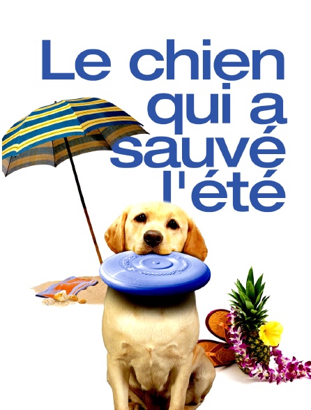 Le chien qui a sauvé l'été