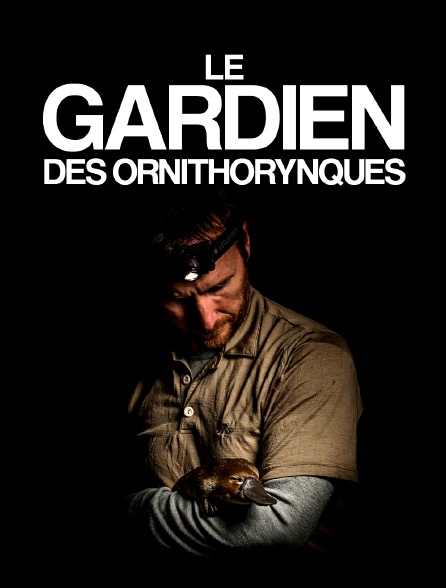 Le gardien des ornithorynques