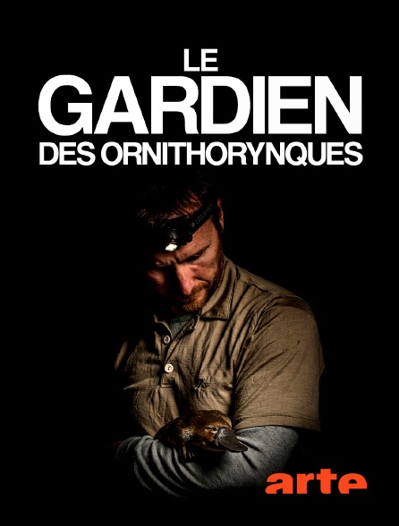 Arte - Le gardien des ornithorynques