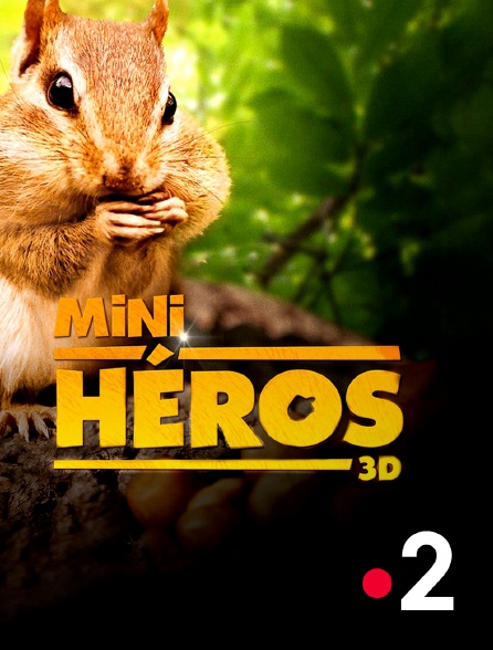 France 2 - Mini-héros