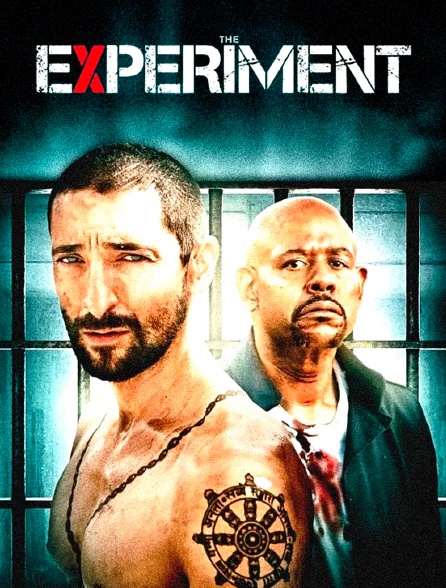 The Experiment