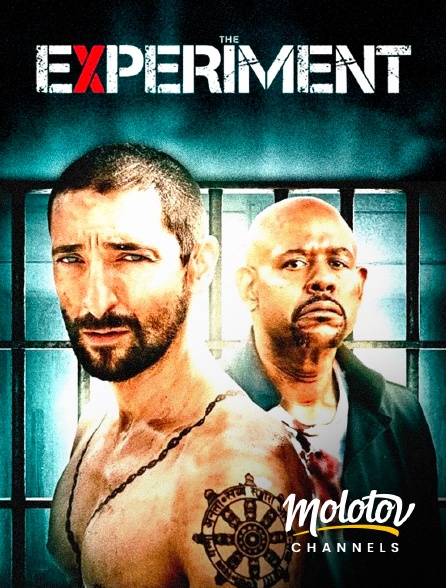 Molotov Channels - The Experiment