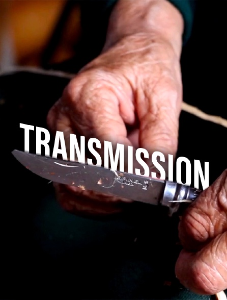 Transmission