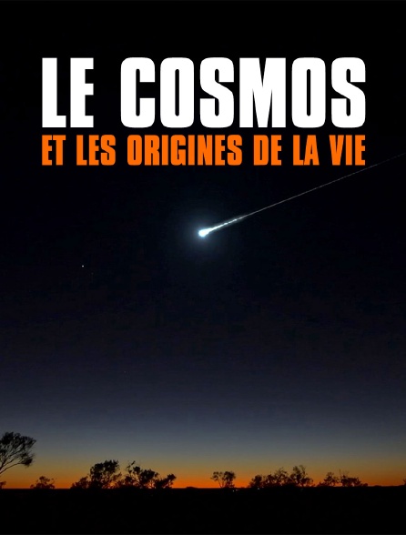 Le cosmos et les origines de la vie