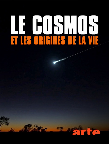 Arte - Le cosmos et les origines de la vie