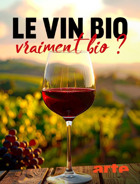 Arte - Le vin bio, vraiment bio ?