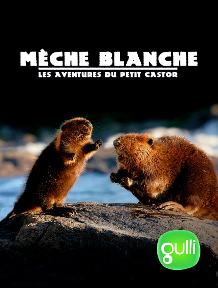 Gulli - Mèche blanche, les aventures du petit castor