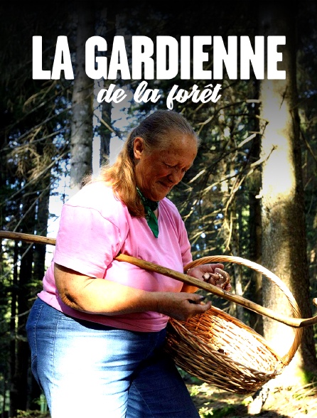 La gardienne de la forêt : Au pays des Cimbres