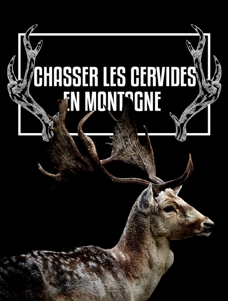 Chasser les cervidés en montagne