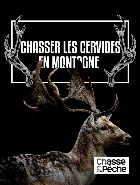 Chasse et pêche - Chasser les cervidés en montagne