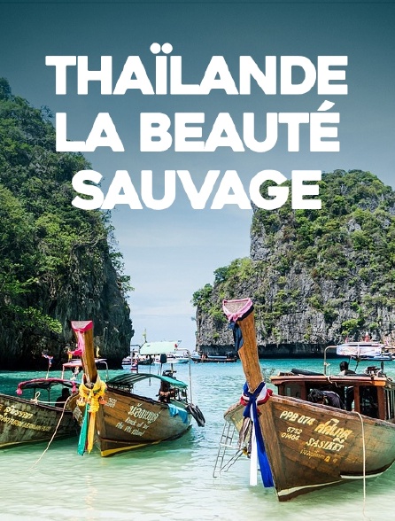 Thaïlande, la beauté sauvage