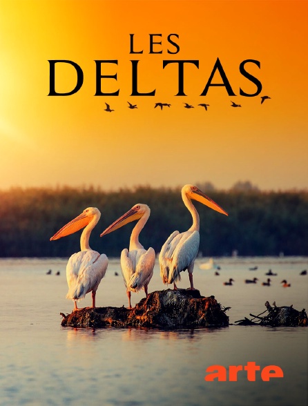 Arte - Les deltas : frontières entre terre et mer
